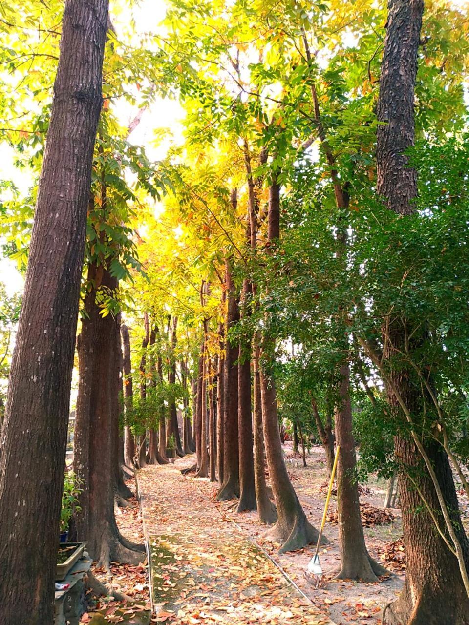 Meinong Yun Shanju Homestay Mei-nung Экстерьер фото