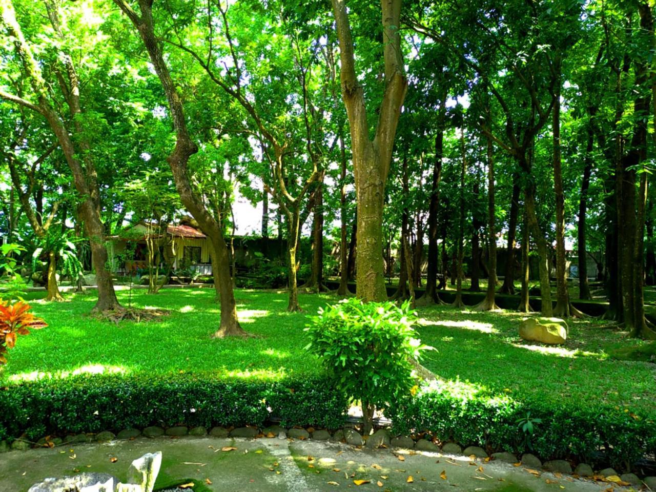 Meinong Yun Shanju Homestay Mei-nung Экстерьер фото